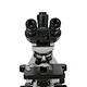 Trinocular Biological Microscope